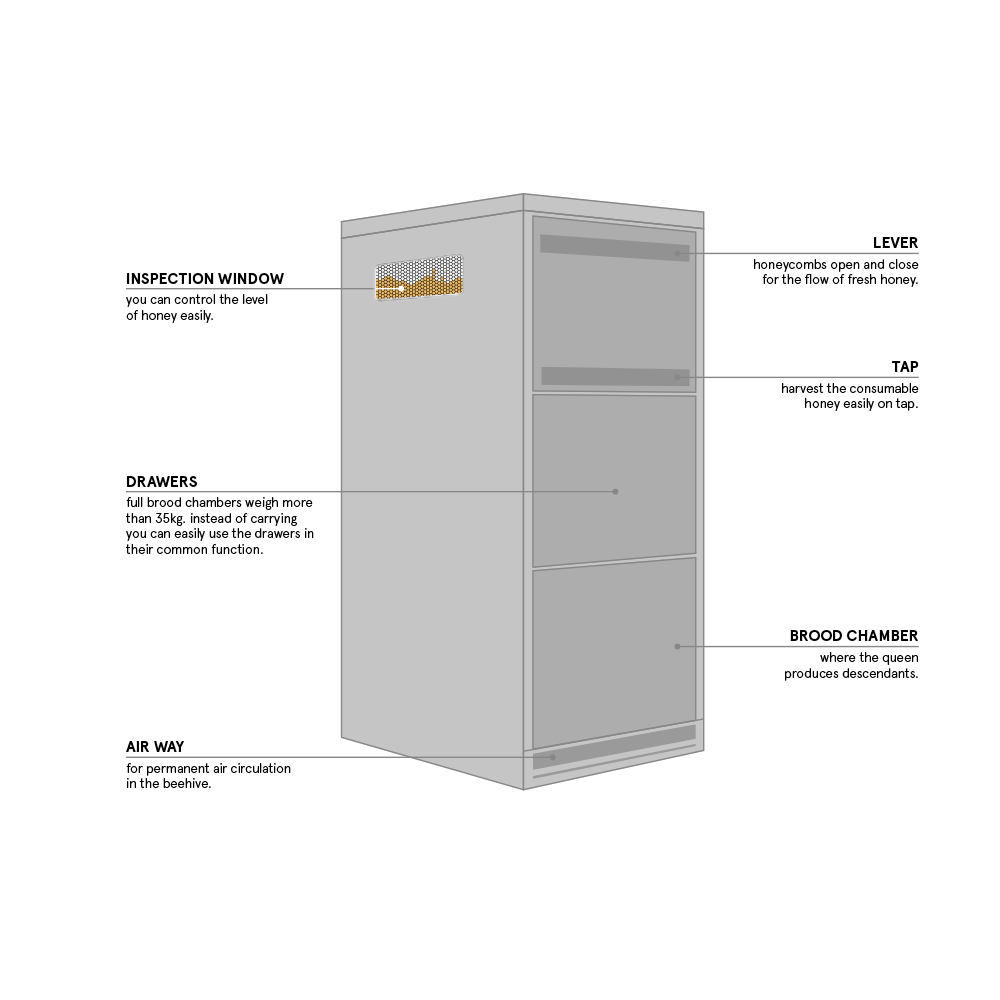 bienenstock_aufbau