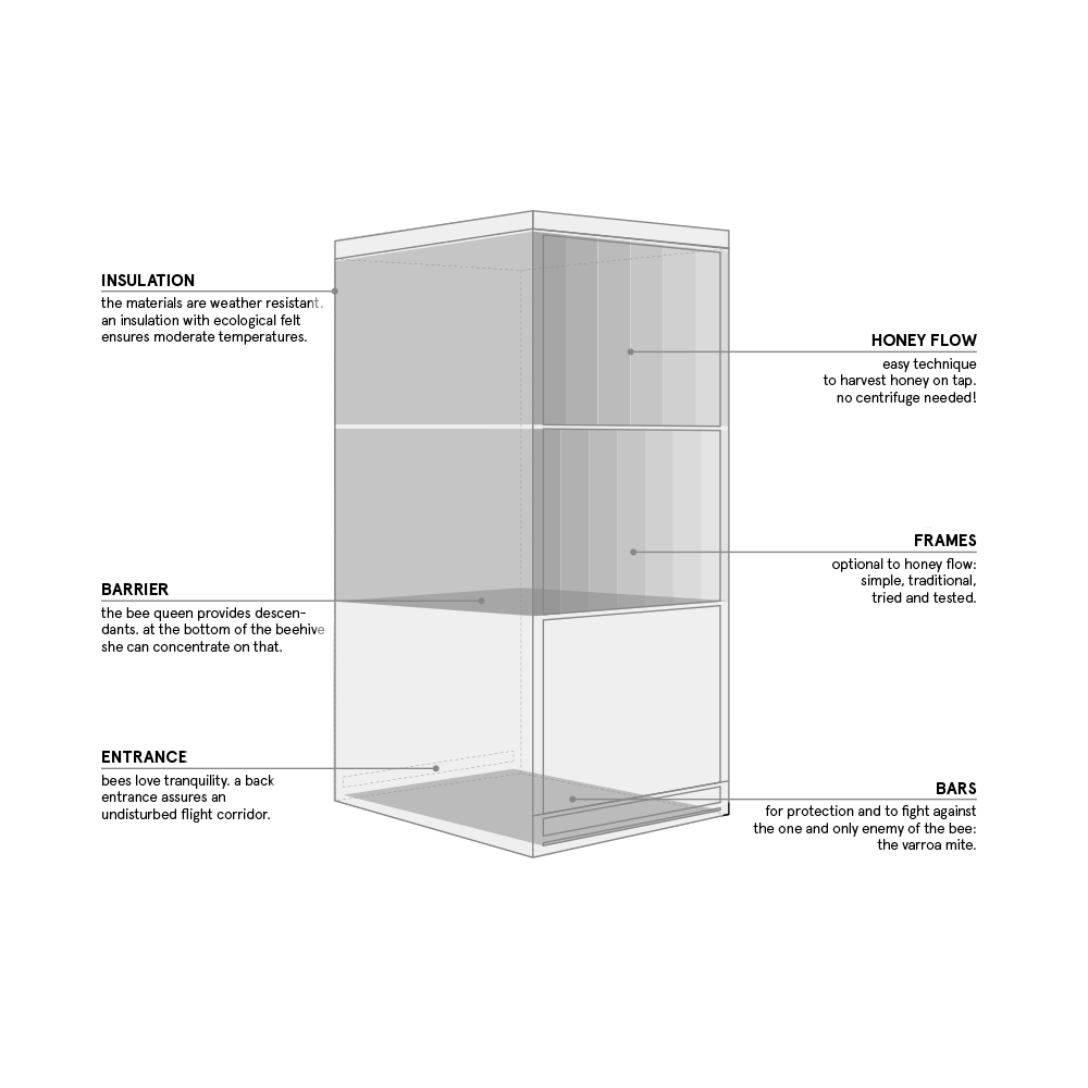 bienenstock_aufbau2