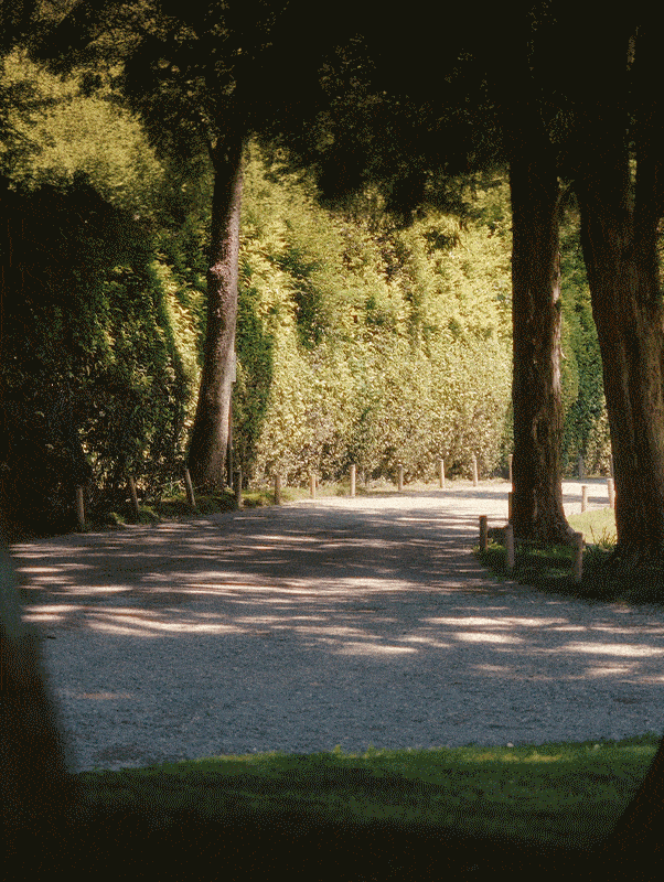 Belle Macchine